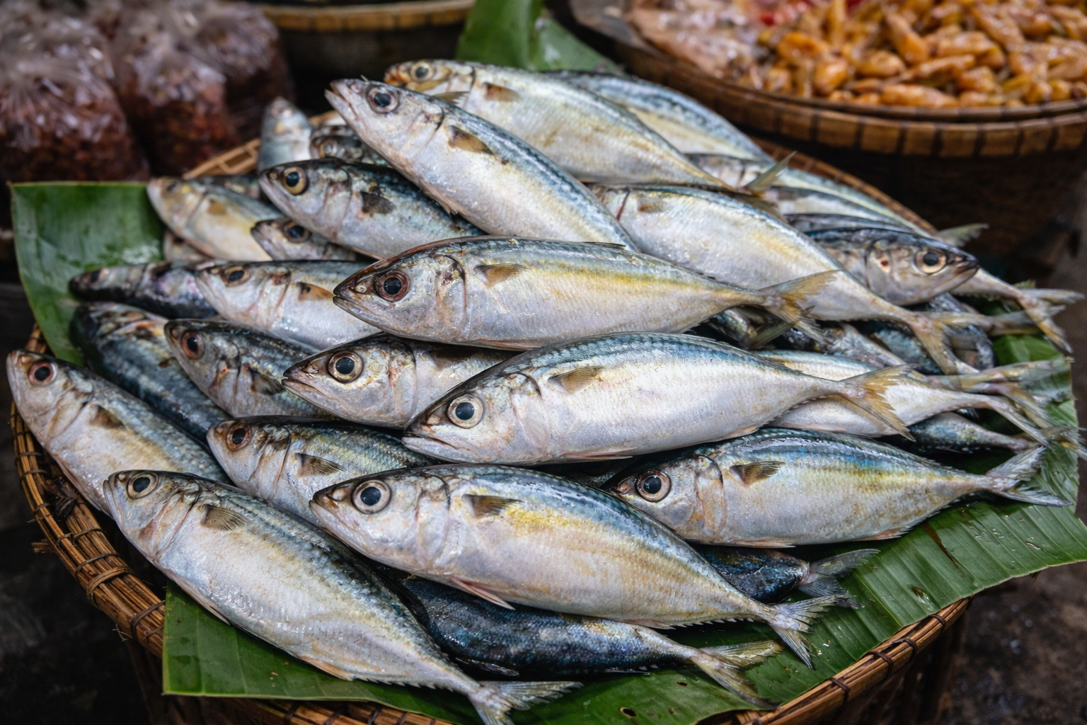 Fresh fish display